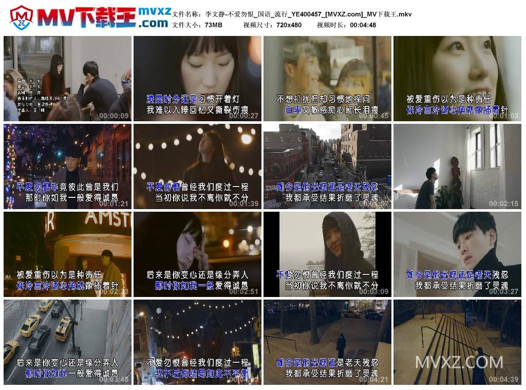 李文静-不爱勿恨_国语_流行_YE400457